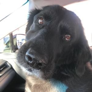 Meet your Posher, April